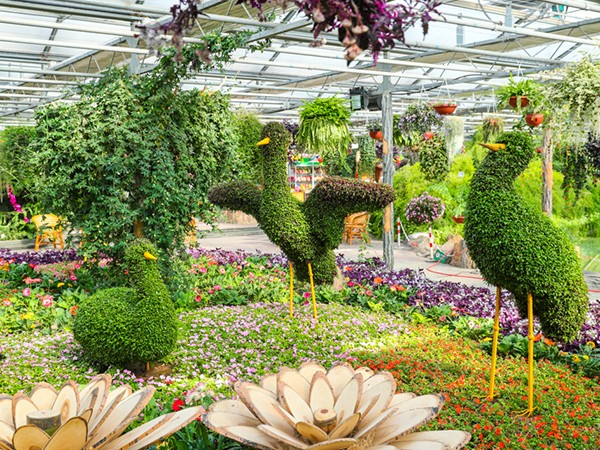 綠化養(yǎng)護(hù)